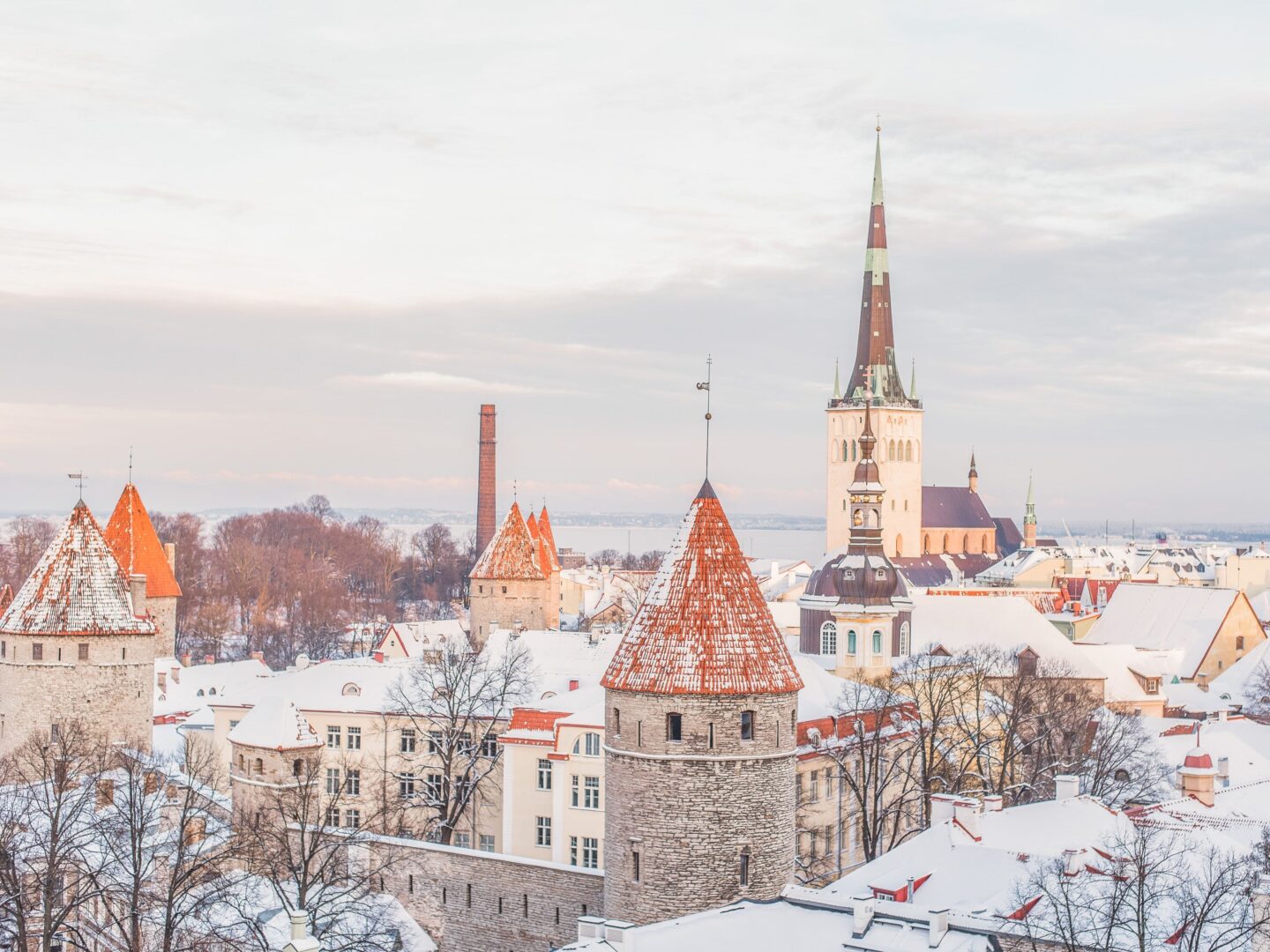 stedentrip tallinn