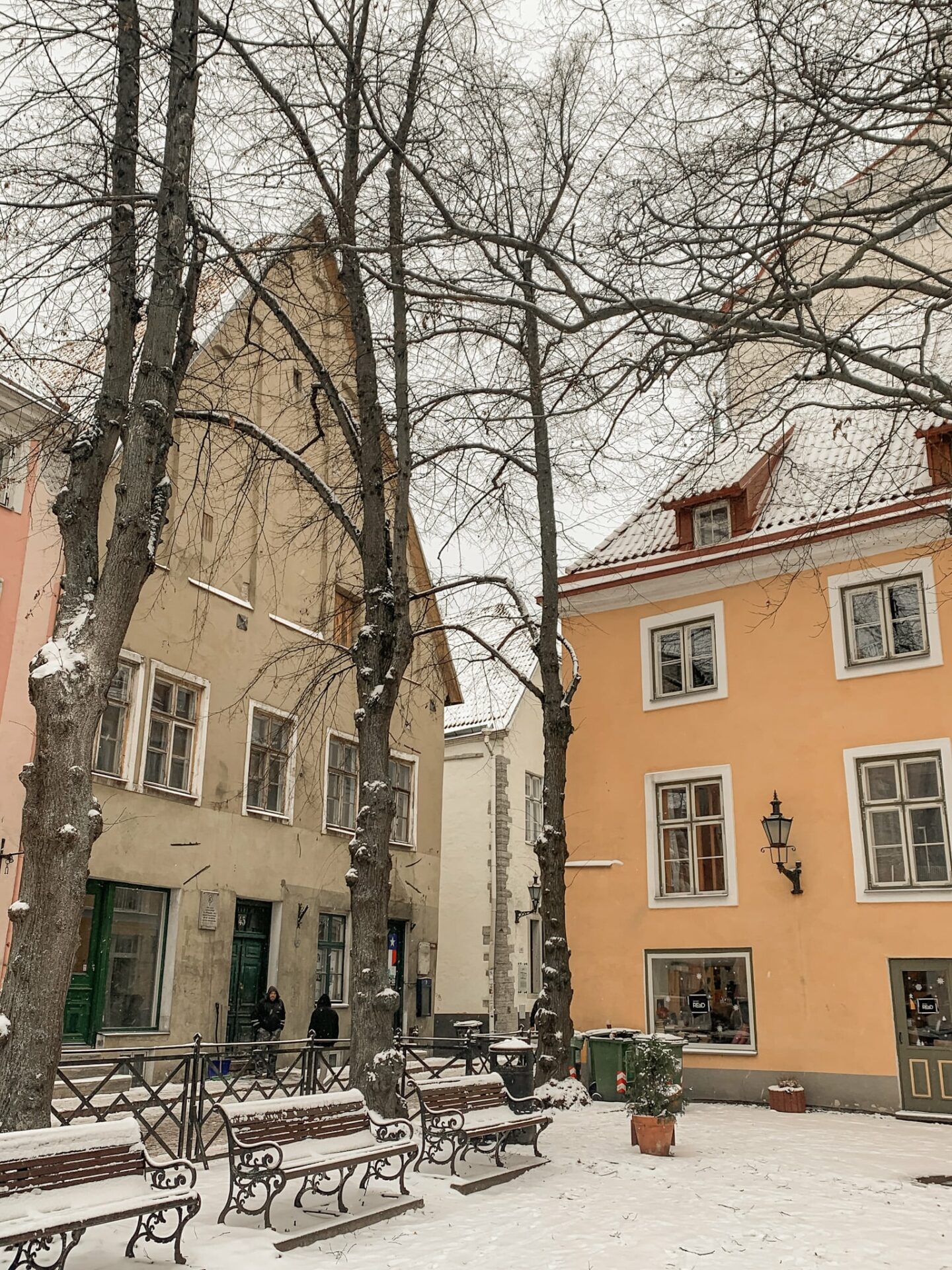 stedentrip tallinn 